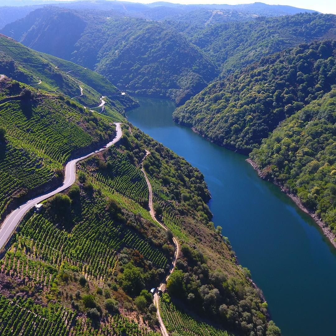 Terraced vines in Ribeira Sacra along the Sil River.