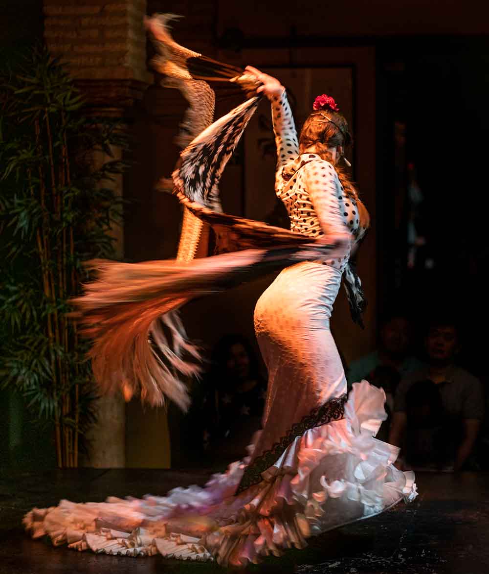 Flamenco Museum Show